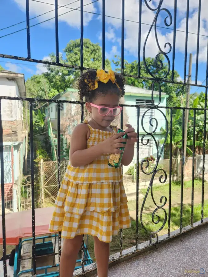 Lazo Milena cinta de 5cm con corona dorada