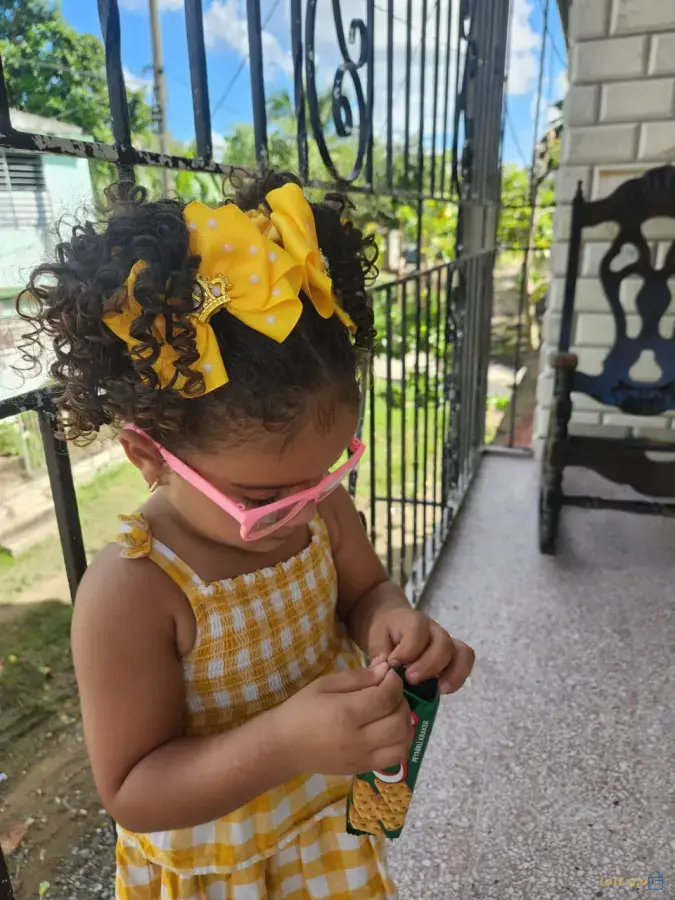 Lazo Milena cinta de 5cm con corona dorada