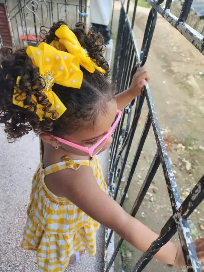 Lazo Milena cinta de 5cm con corona dorada