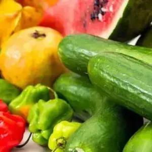 Bazar del agro