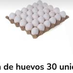 Cartón de Huevos