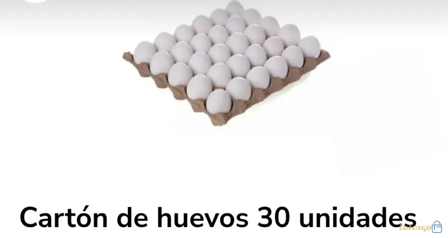 Cartón de Huevos