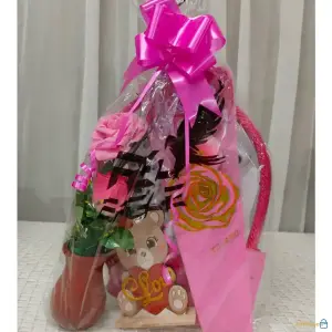 Regalo para Mamá con Osito y Rosa Rosa – Detalle “Te Amo” Día de las Madres